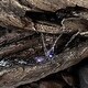 preview thumbnail 10 of 43, Alpine Corporation Outdoor Multi-Tier Rainforest Rock Waterfall Fountain with LED Lights