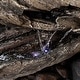 preview thumbnail 43 of 43, Alpine Corporation Outdoor Multi-Tier Rainforest Rock Waterfall Fountain with LED Lights