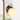 Aladari Modern Gold 1-Light Bathroom Vanity Light Opal Glass Wall Sconces - W 5.3" x H 8.5"