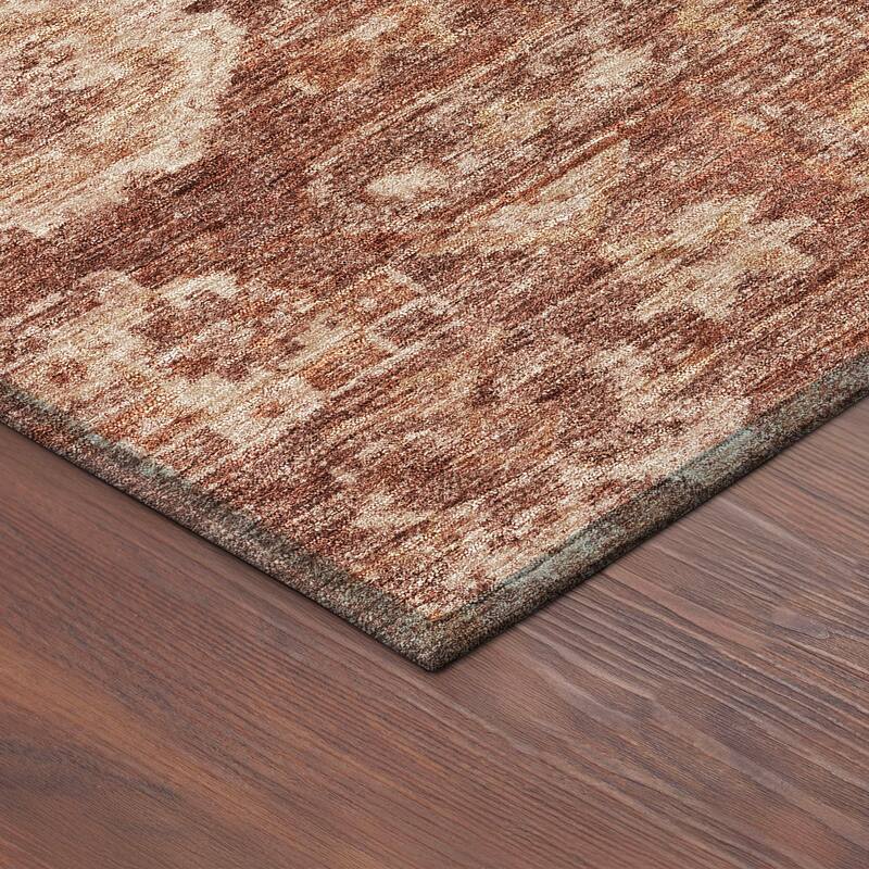 Machine Washable Indoor/ Outdoor Boho Traditional Chantille Rug