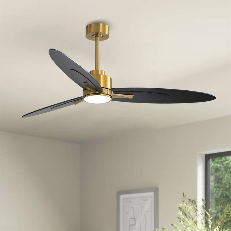 WINGBO 60-in 3-Blades Indoor Ceiling Fan with LED Light & Remote