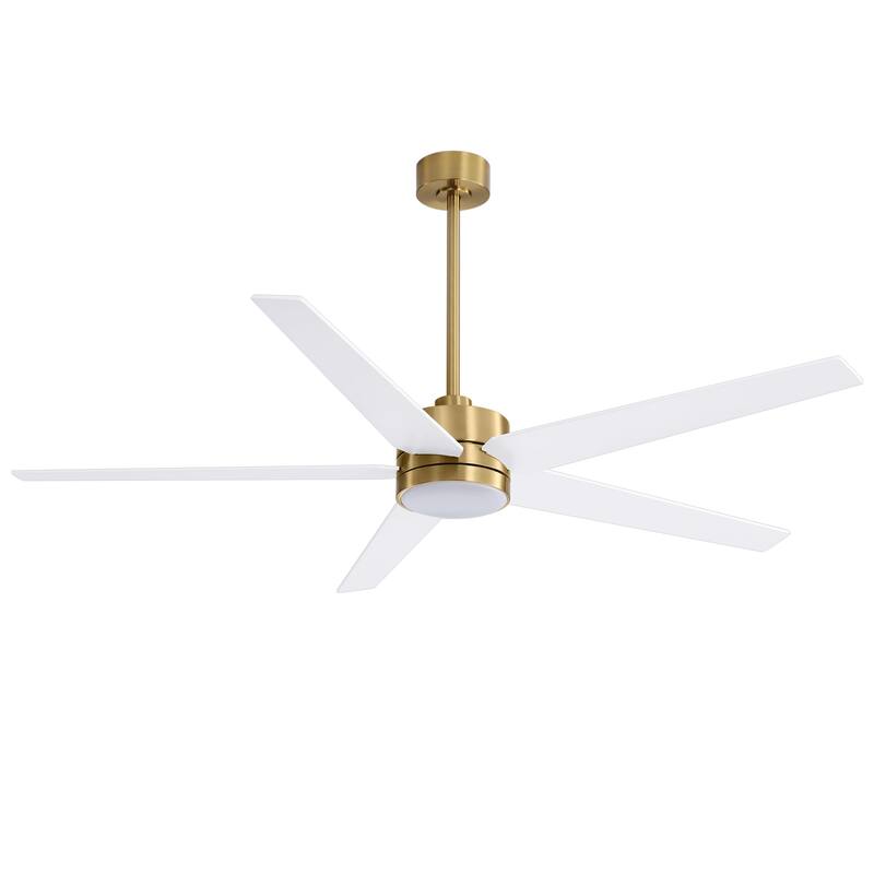 65 Inch 5-Blade LED Ceiling Fan with Light and Remote