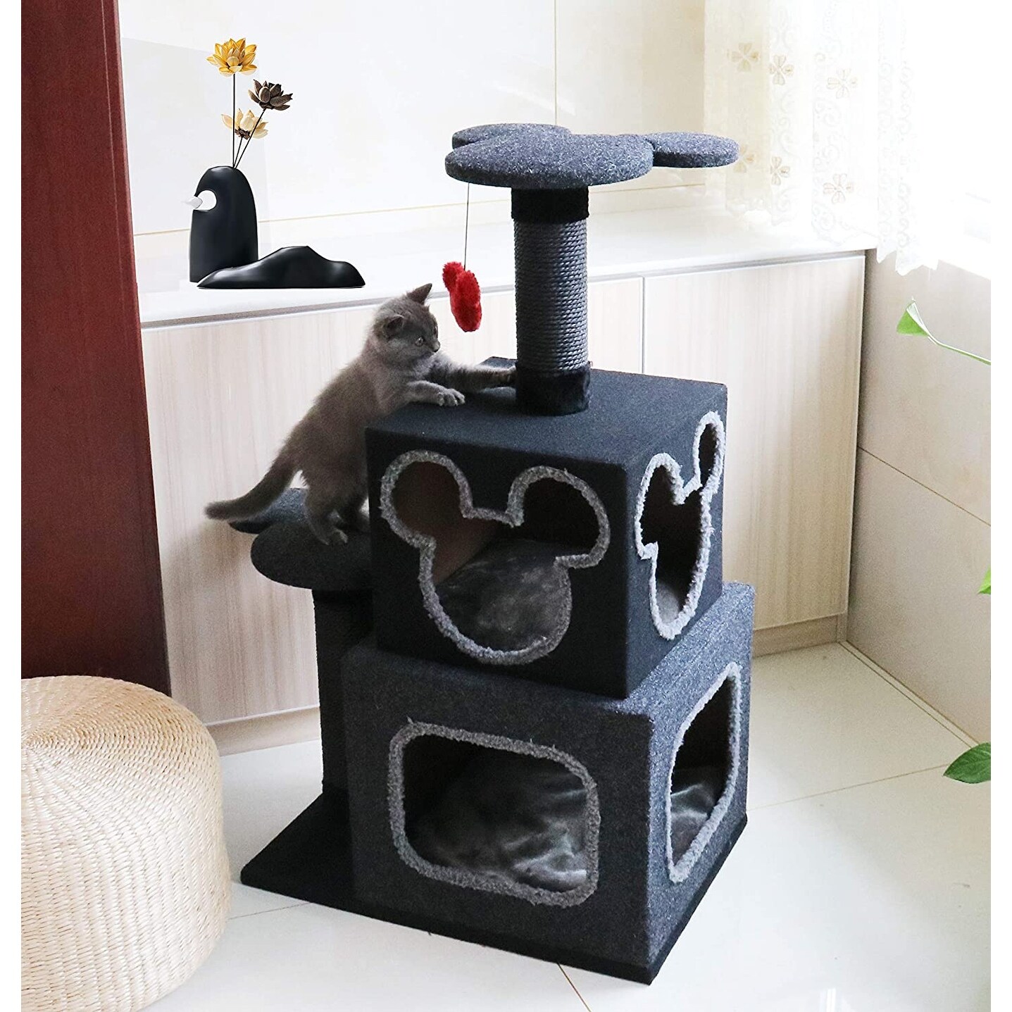 crazy cat condos