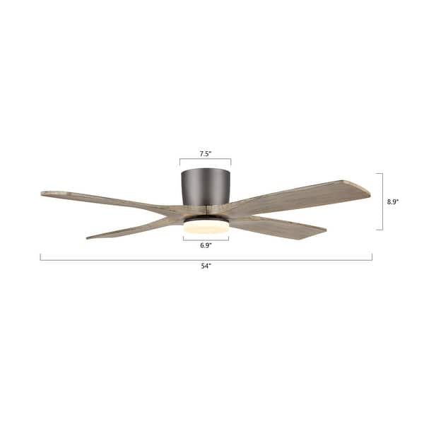 Wingbo Image WINGBO 54