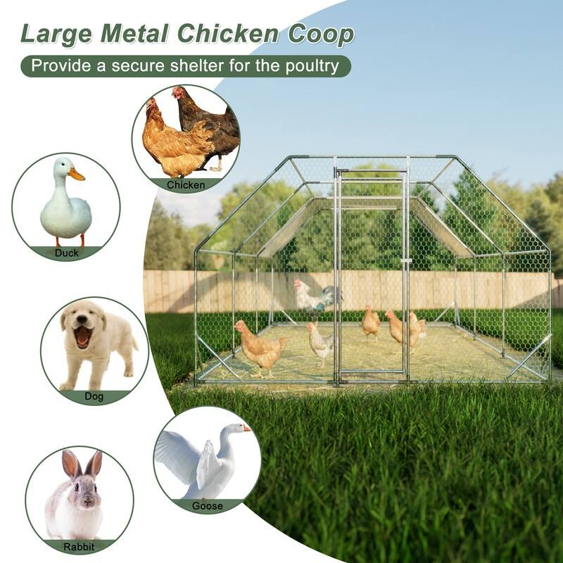 Large Walk-In Metal Chicken Coop – Flat-Shaped Poultry Cage Run with Waterproof Cover‌ - Silver