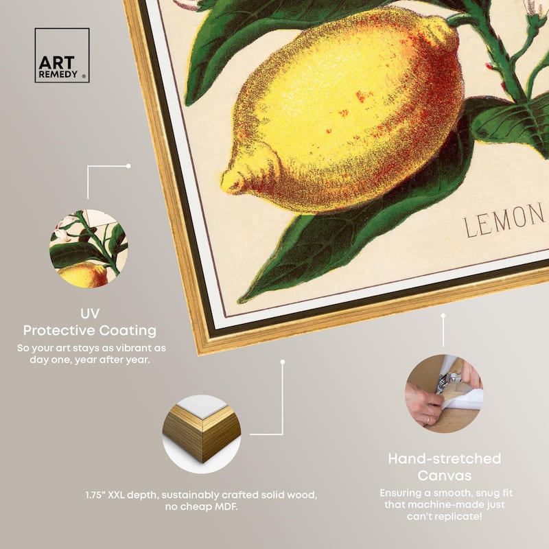 Lemon Canvas by Art Remedy