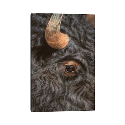 iCanvas "Bison Close-Up" by David Stribbling Canvas Print