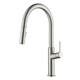 Option Brushed Nickel