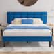 Option Drak Blue