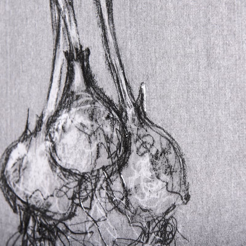 Botanical Sketches I (Grey) (21 x 35) Canvas Art Print