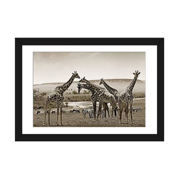 slide 2 of 20, iCanvas "Gathering Giraffes" by Klaus Tiedge Black - 24x32x1