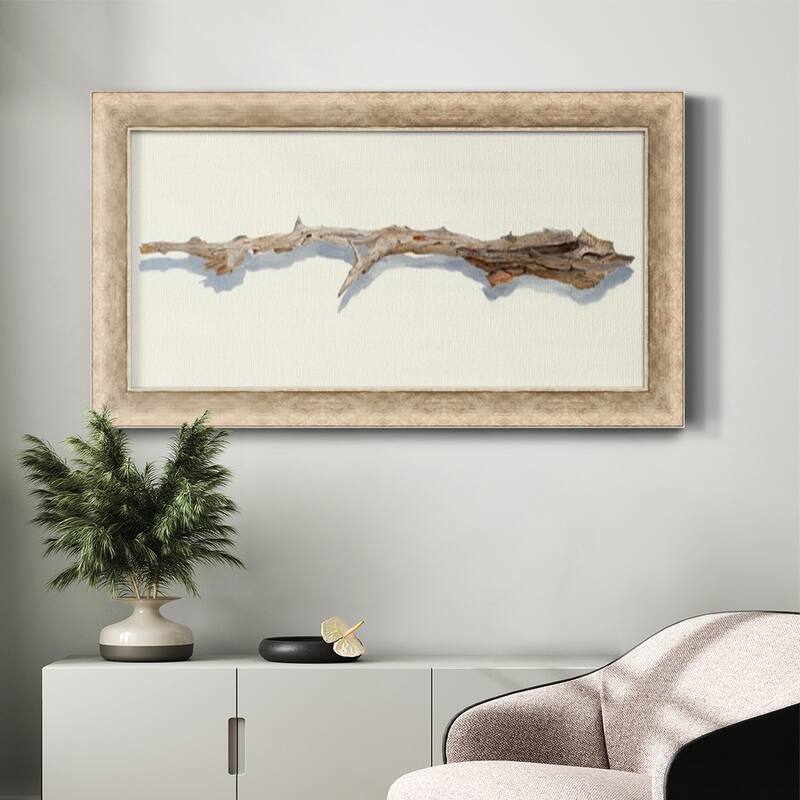 Driftwood Study I Premium Framed Canvas- Ready to Hang