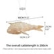 preview thumbnail 10 of 8, Wooden Fish Shaped Pendant Lights Decorative Hanging Lamp Fixture - 24" x 10"