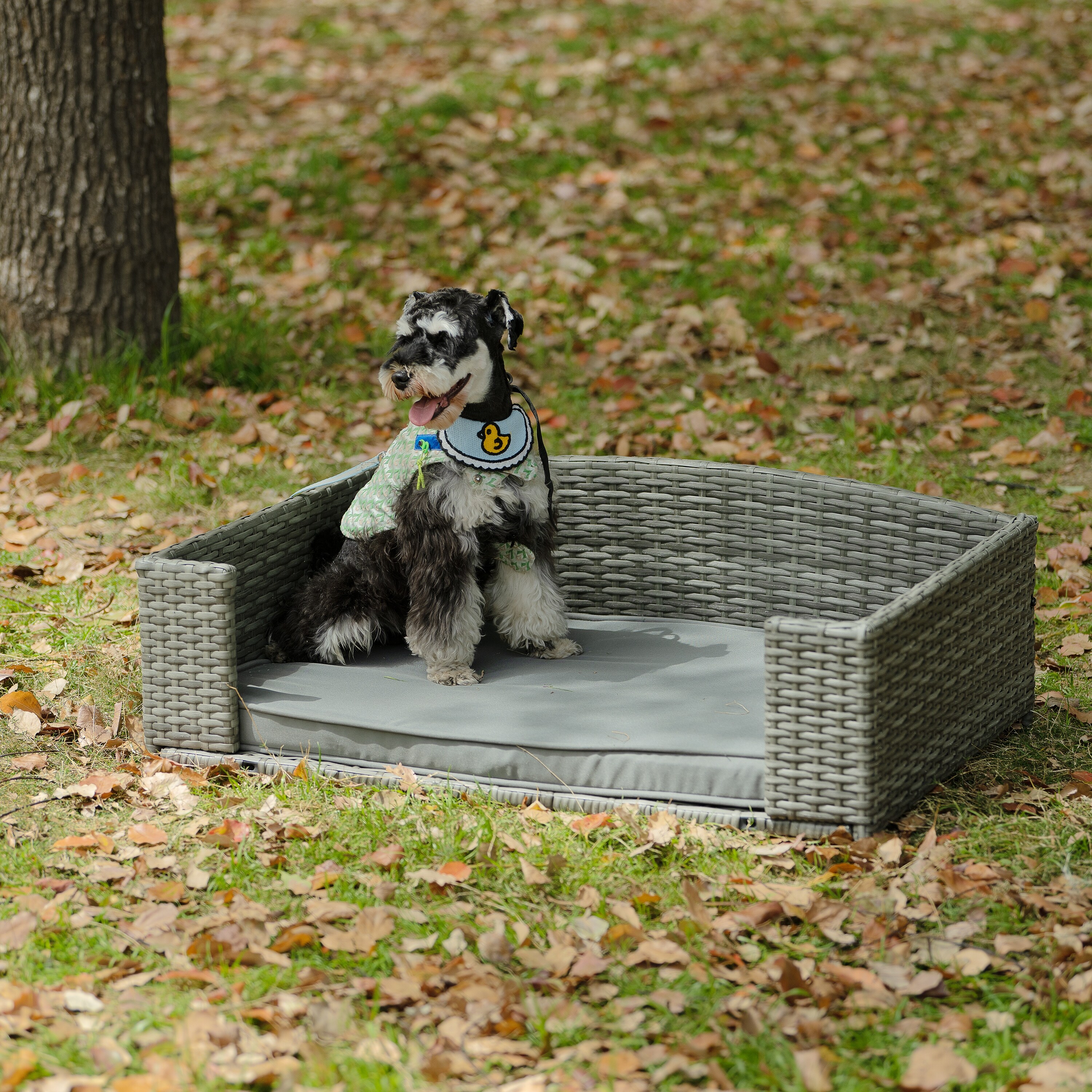 Outdoor wicker dog bed outlet