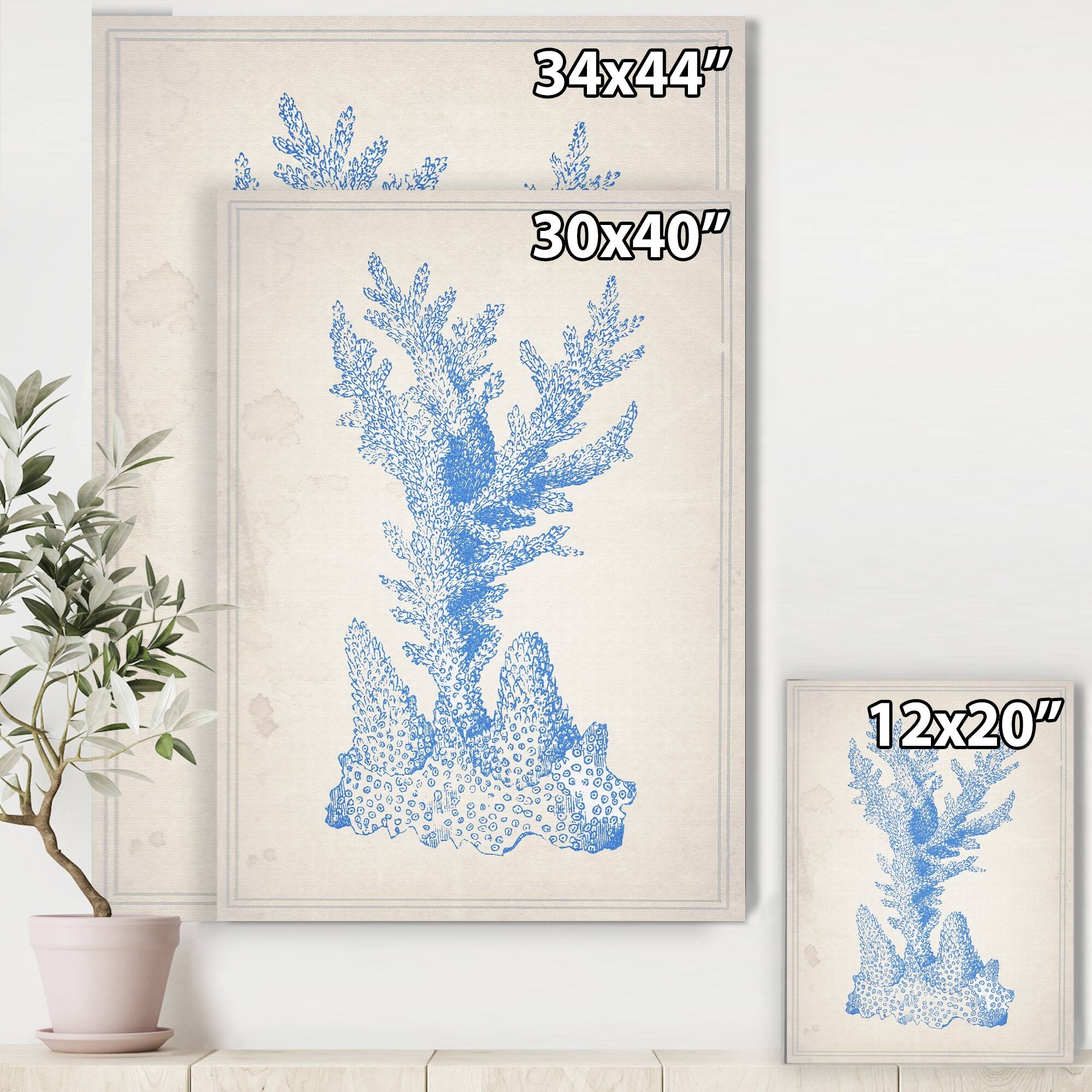 Designart "Blue Coral 1" Nautical & Coastal Premium Canvas Wall Art