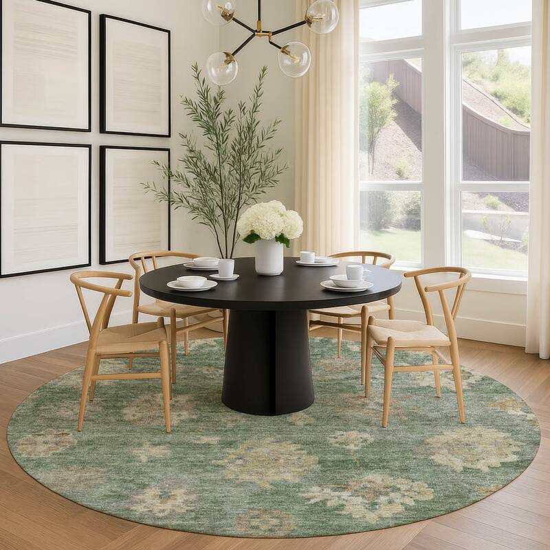 Machine Washable Indoor/ Outdoor Casual Traditional Chantille Rug