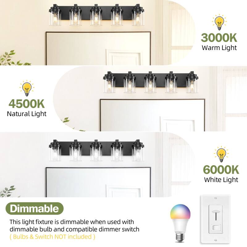 5-Light Bathroom Vanity Light Bathroom Light Fixtures Over Mirror, 31" Black Vanity Lights with Glass Shade