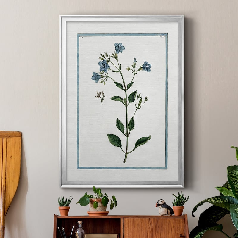 Shabby Chic Botanical II Premium Framed Print - Ready to Hang