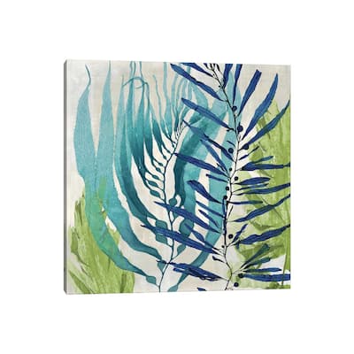 iCanvas "Sea Nature I" by Melonie Miller Canvas Print
