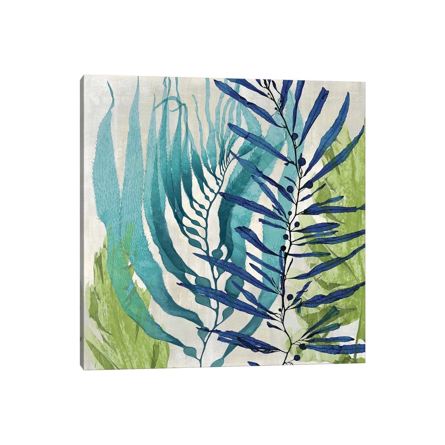 iCanvas "Sea Nature I" by Melonie Miller Canvas Print