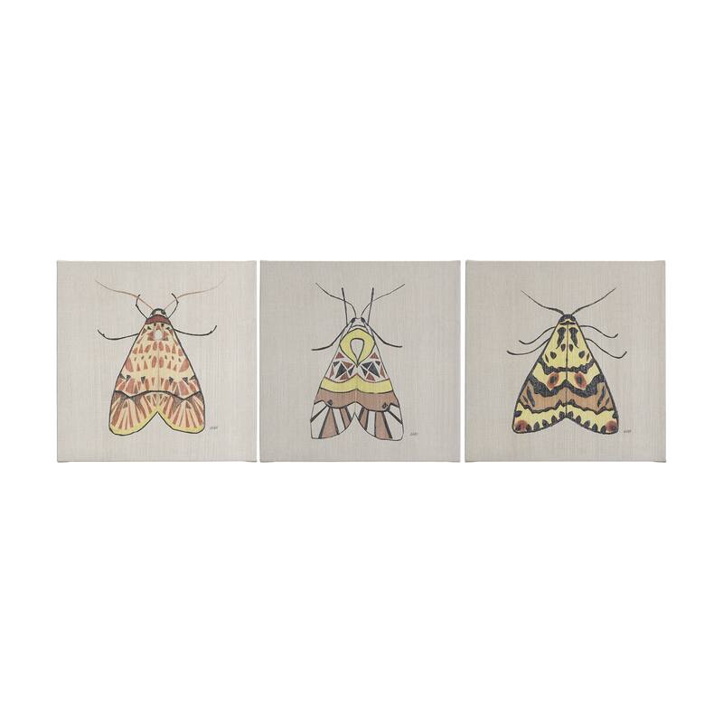 Moth III (30 x 30 ) Canvas Art Print