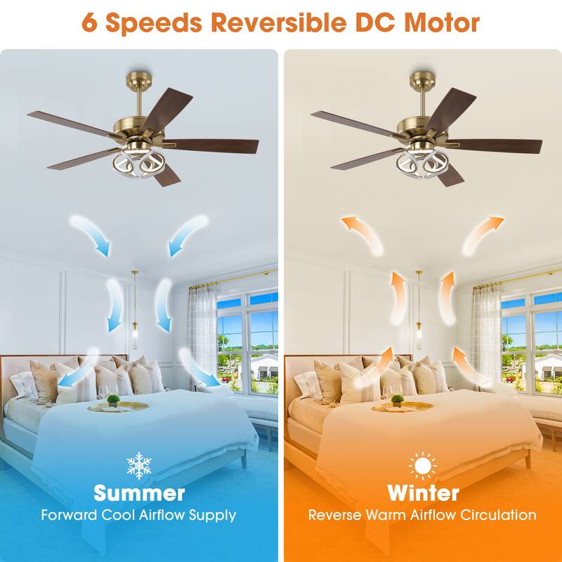 52" Modern Gold Smart Dimmable RGB Ceiling Fan with Light and Remote and App Control