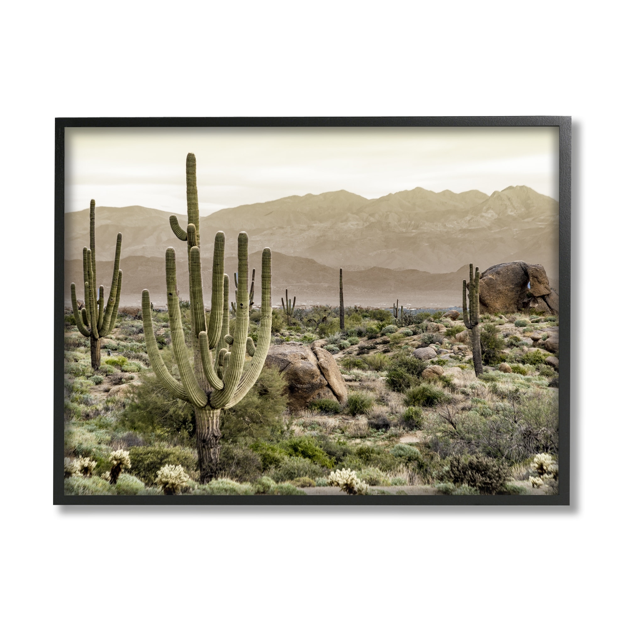 世界的に Stupell Rocky Desert Landscape Framed Giclee Art Design by 絵画