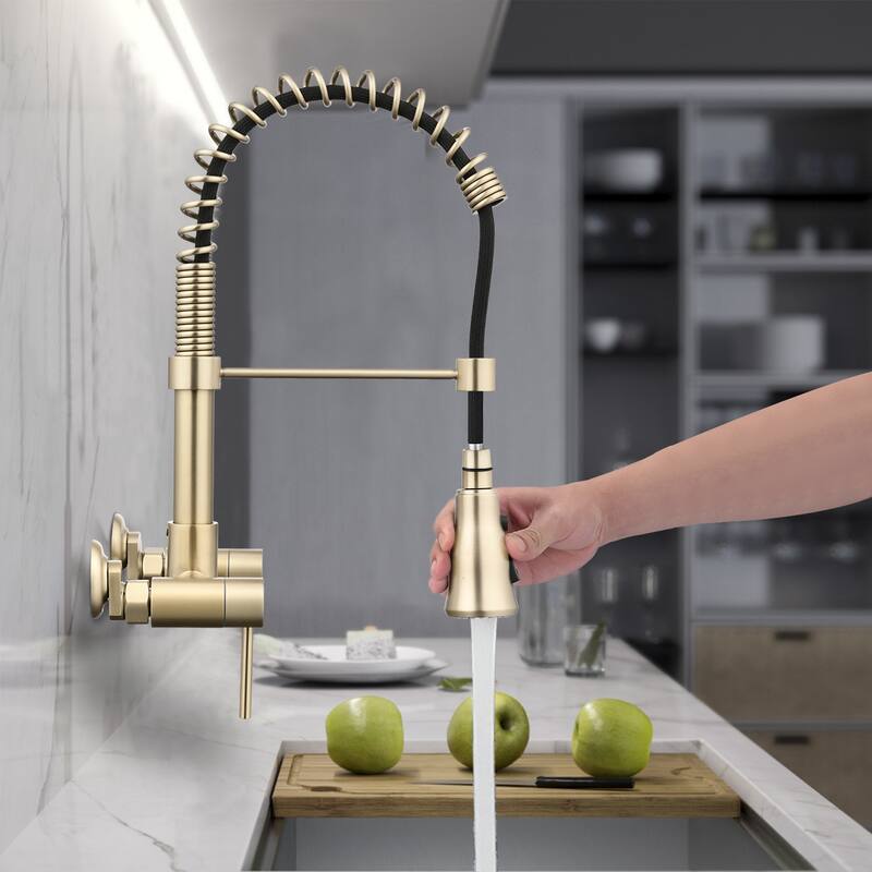 Dornberg Wall Mounted Pull Down Bridge Kitchen Faucet