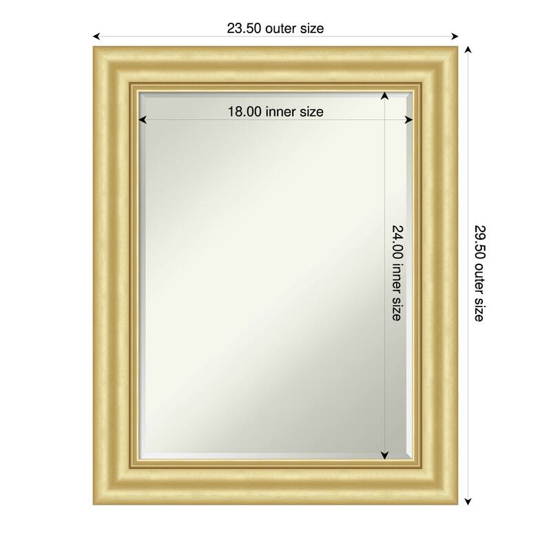 Sophia Half-Inch-Bevel Framed Wall Mirror - 24 x 30 in - Sophia Gold