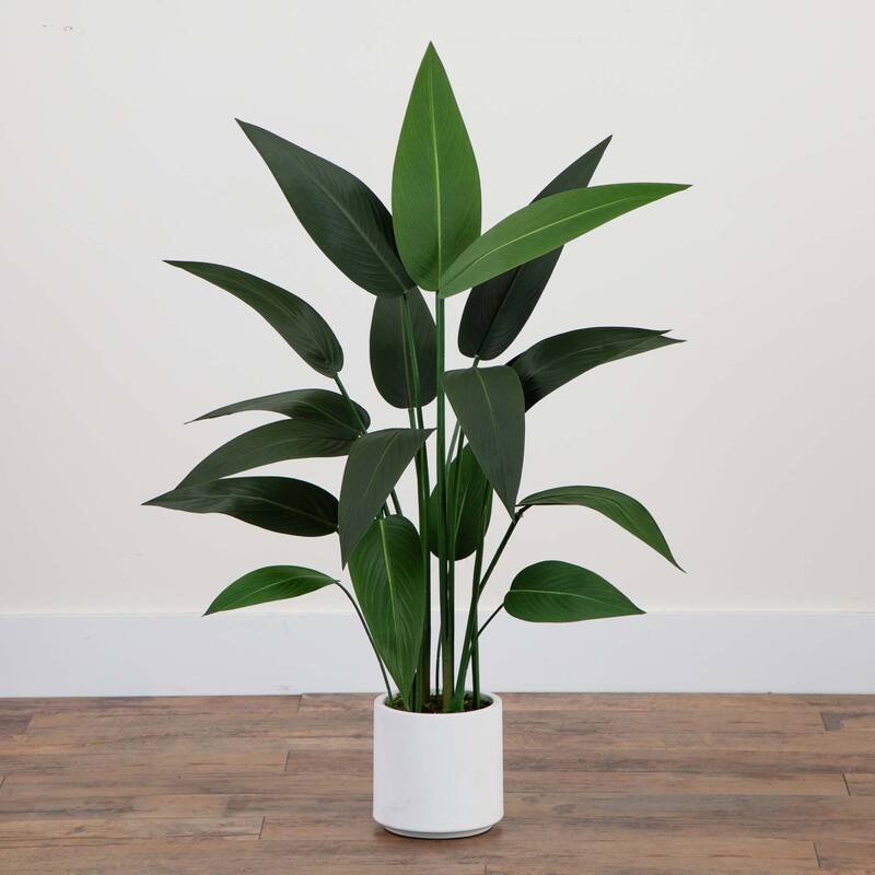 Potted Sky Bird Artificial Tree - 3.5' - Green
