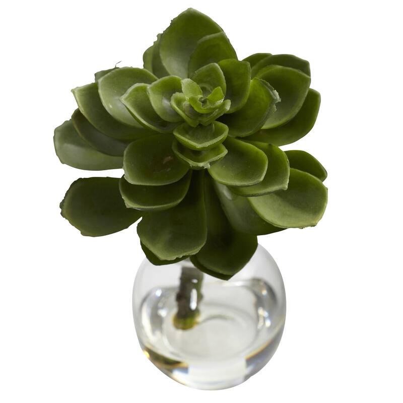 Succulent Arrangements Set of 3 - Decorative Faux Succulents in Vases - Home Office Decor - 6