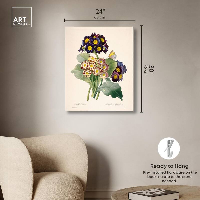 Auricula Varieties Canvas by Art Remedy, Gallery Wrapped