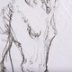preview thumbnail 6 of 5, Horse I (30 x 40 ) Canvas Art Print
