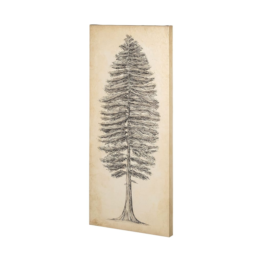Pacific Northwest Tree Sketch II Canvas Art Print