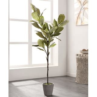 SAFAVIEH Lourdes Faux Magnolia Potted Tree - 24.4" W x 22.8" L x 51.2" H - 24Wx23Dx51H
