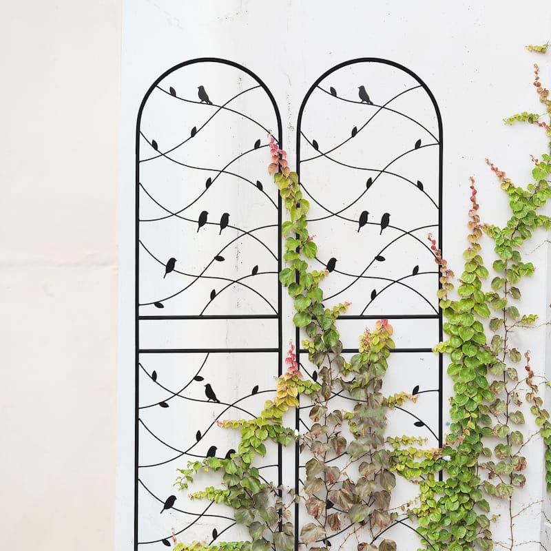 2 Pack Metal Garden Trellis 71in x 19.7in Rustproof Trellis