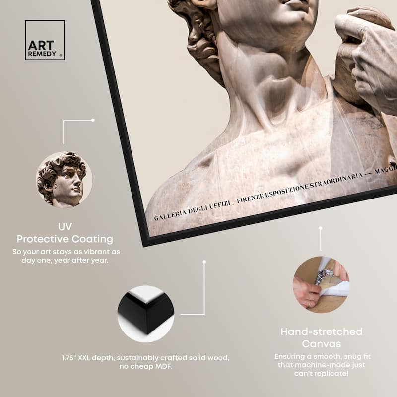Gaze of Michelangelo's David Canvas by Art Remedy