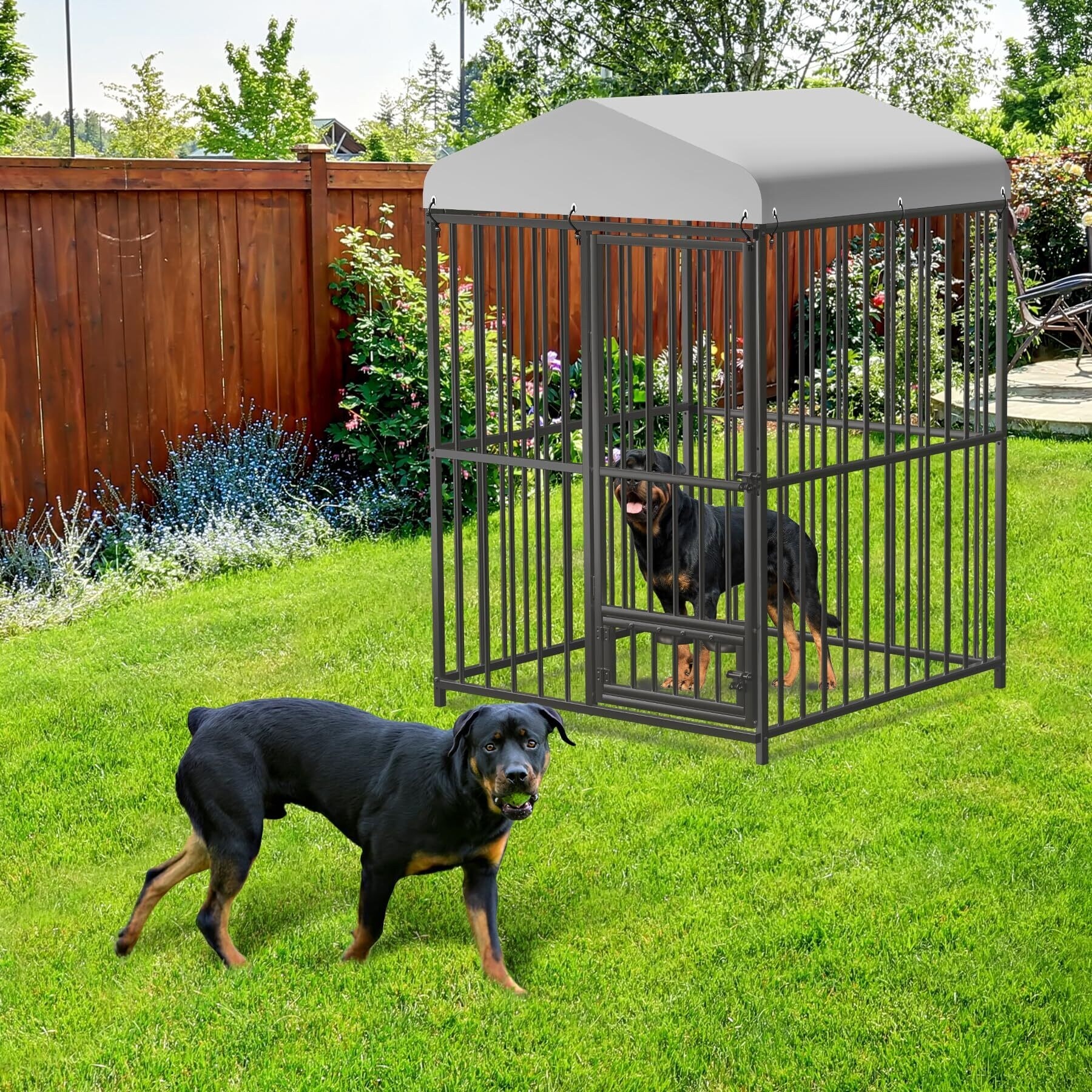 Large-Outdoor-Dog-Kennel,-