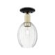Option Clear Shade / Black Antique Brass