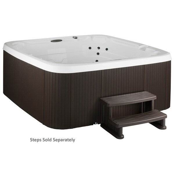 Lifesmart LS450DX 7-Person 22-Jet 110v Plug and Play Spa with