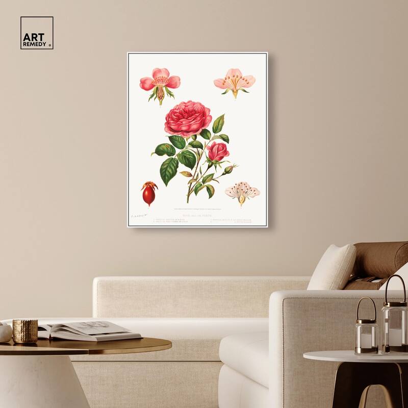 Rose and its parts (1872) Canvas by Art Remedy