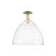 Option Antique Brass / Seedy