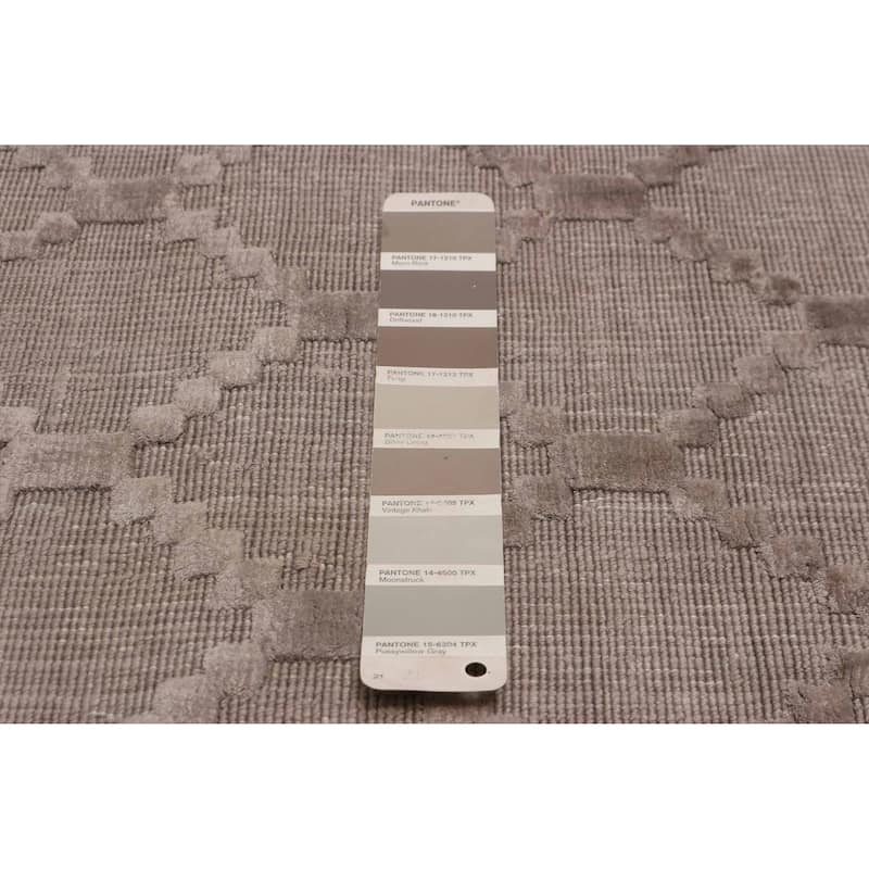ECARPETGALLERY Hand Loomed Kashkuli Gabbeh Taupe Viscose Rug - 5'7 x 7'11
