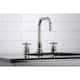 Option Polished Nickel