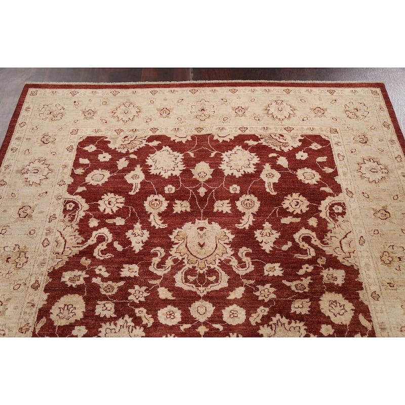 Vegetable Dye Traditional Chobi Peshawar Area Rug Wool Hand-knotted - 5'10" x 8'3"