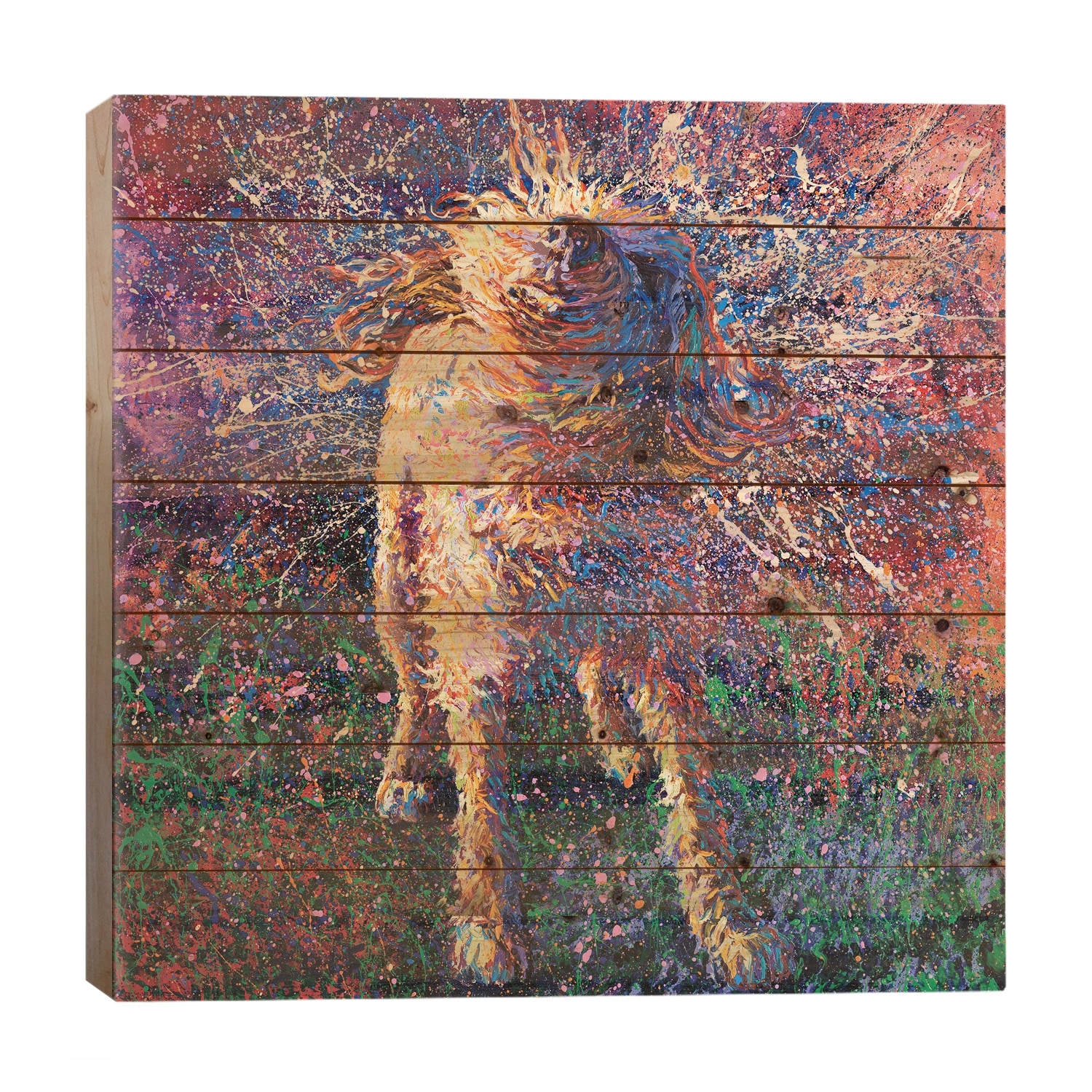 Graffiti Suspended Print On Wood by Iris Scott - Multi-Color