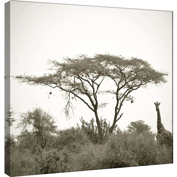 PTM Images 9-101272 PTM Canvas Collection 12" x 12" - "Standing Giraffe" Giclee Giraffes Art Print on Canvas