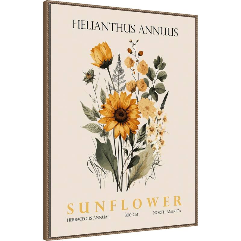 Vintage Botanical Sunflower No. 2 Illustration by Christopher Giampietro Framed Canvas Wall Art Print