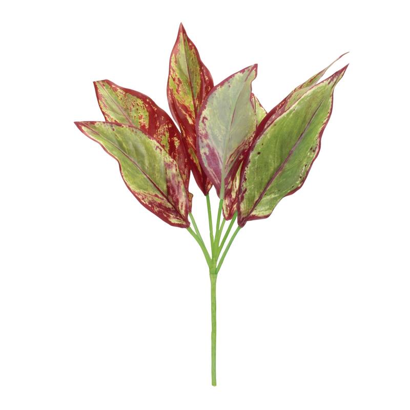 Variegated Foliage Plant (Set of 6) - Green, Purple