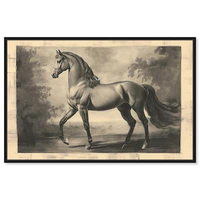 Sketch of a Stallion Canvas by Art Remedy